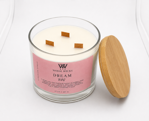 Dream Big - 17oz